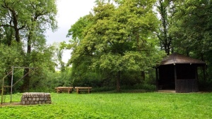 Barbecue hut Hahnbüsch