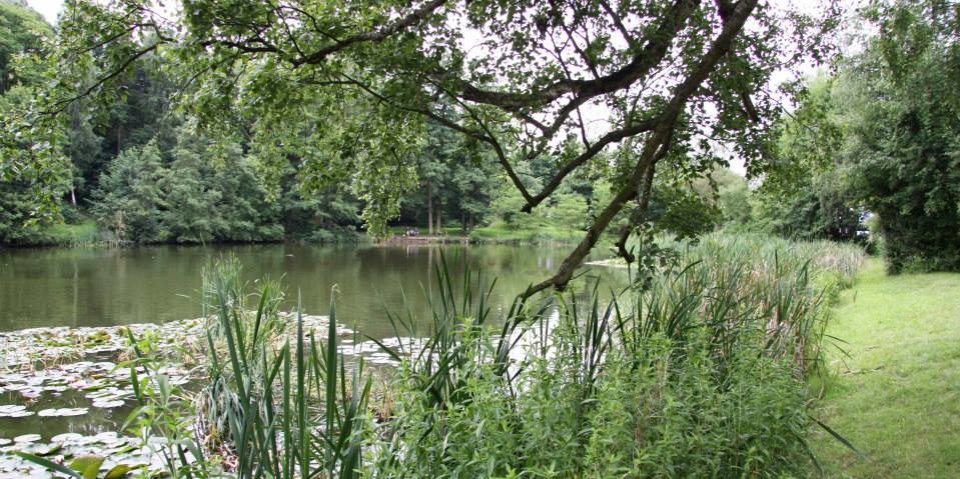 Tabakweiher