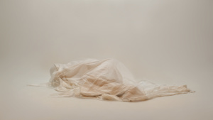 Kunstwerk von Elodie Lanotte Kunstwerk von Elodie Lanotte
