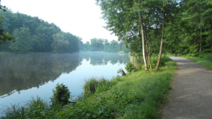 Waldweiher Burbach (Quelle: Frank Schilling)