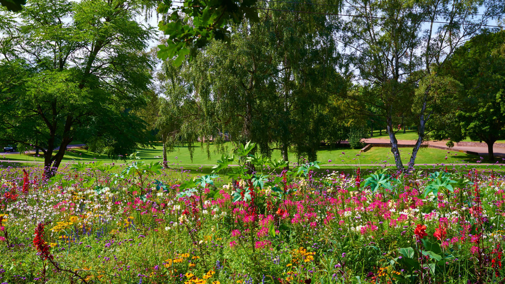 Deutsch-Französischer-Garten