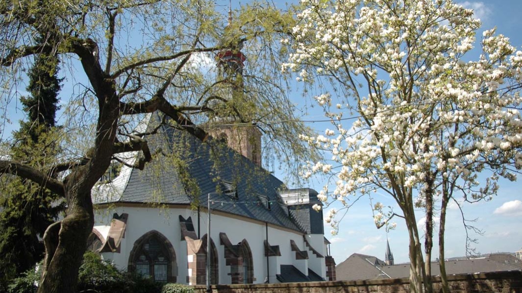 Sterneweg_Muschel_rvsbr_Peter Lupp / Elke Birkelbach