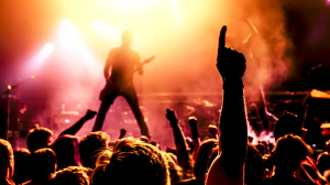 concert(Foto: DWP/Fotolia)