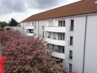 Wohnhäuser mit Satteldach, graue Fassade, weiße Balkonbrüstungen, davor blühende Bäume.