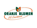 Oranje Blumen