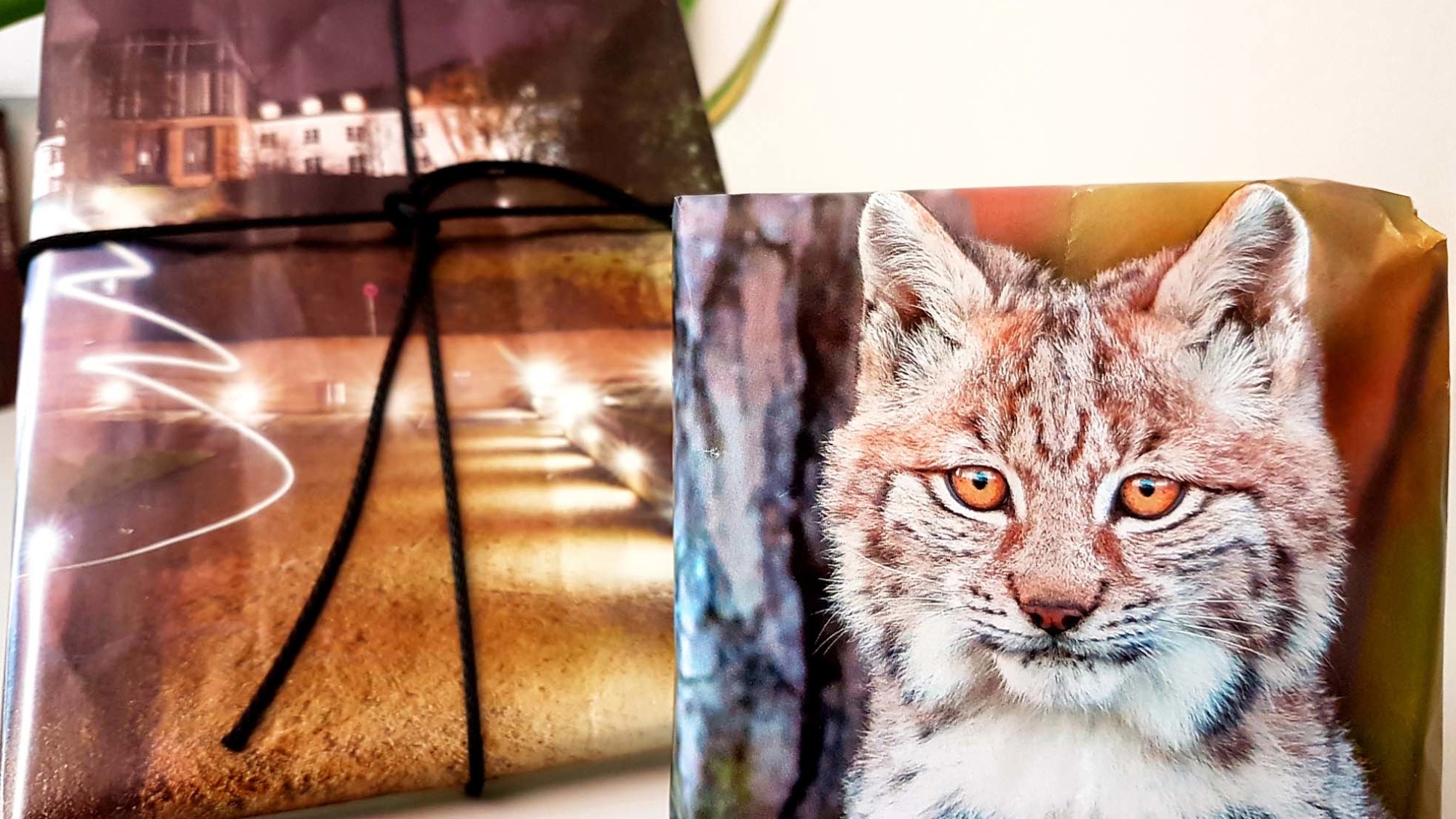 Ideen für abfallarme Weihnachten: alte Zeitungsartikel, Poster oder Kunstdruckkalender als Geschenkpapier