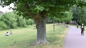 Bike in Saarbrücken