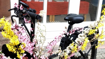 Lastenpedelec der Landeshauptstadt Saarbrücken (Foto: Netzwerk Entwicklungspolitik im Saarland e.V.) Image