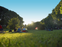 Abendstunden am Staden