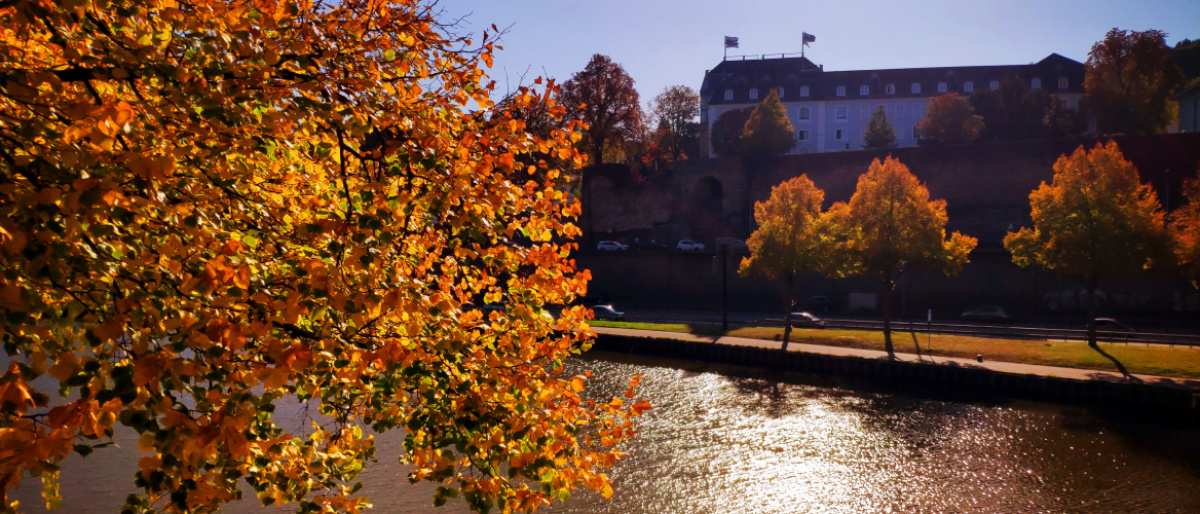 Herbst in Saarbrücken 2019