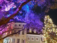 Weihnachtlicher Lichterglanz in der City