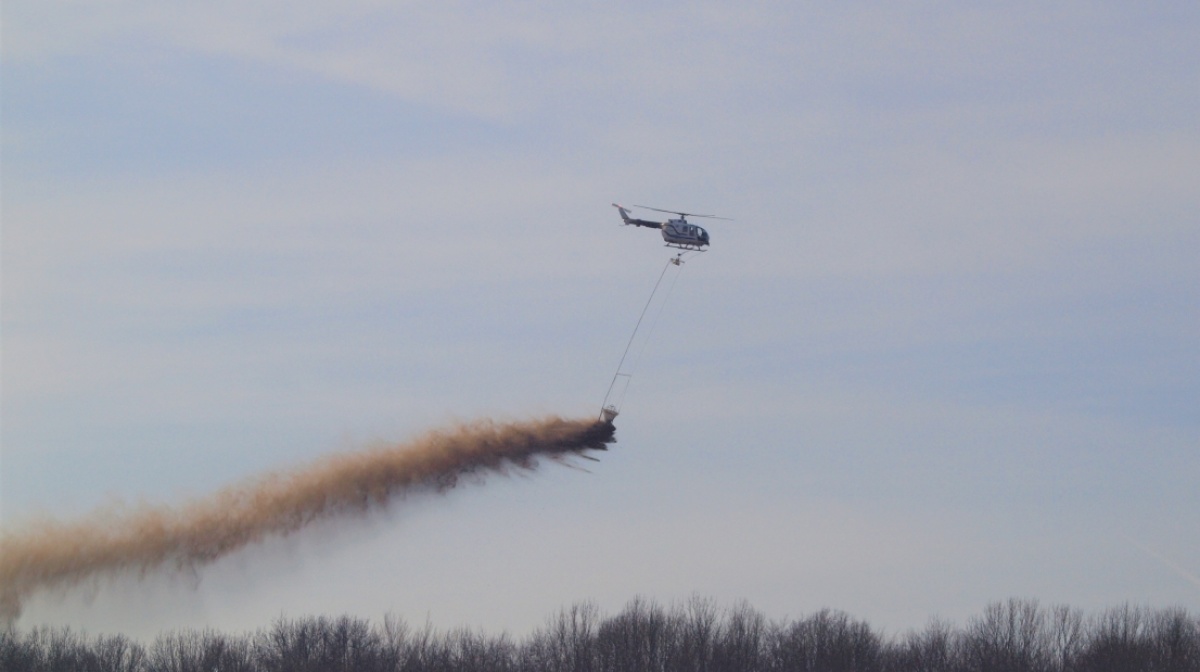 Waldkalkung mit Hubschrauber 