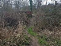  Blick zum Trümmerhügel freischneiden, Verbindung nach Norden „Auf der Werth“, Bürgerpark