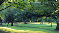 Graslandschaft, Neugestaltung Bürgerpark