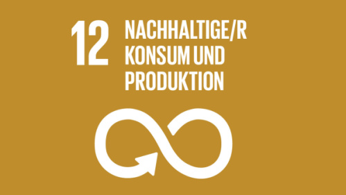 Icon zu den 17 Nachhaltigkeitszielen der UN