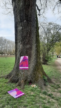 Glück am Wunschbaum