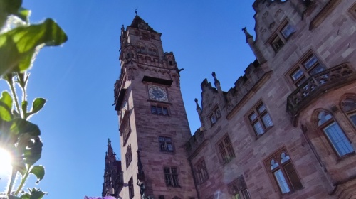 Blumen vor dem Rathaus