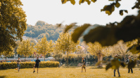 Sommer am Saarbrücker Staden