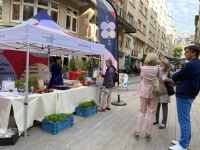 Anne's Kitchen Luxembourg 22.9.
