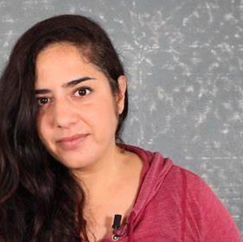 Meltem Arsu Image