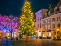 Erleuchteter Weihnachtsbaum auf dem St. Johanner Markt