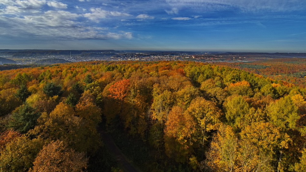 Schwarzenbergturm: Herbstlicher Blick Richtung Stadt