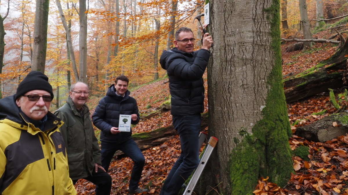  von links: Manfred Glaub, Projektbegleiter NABU, Dr. Hubertus Lehnhausen (Beisitzer im NABU-Vorstand), Baudezernent Patrick Berberich, Carlo Segeth, Vorstandsvorsitzender Bank 1 Saar beim Befestigen der Plakette 