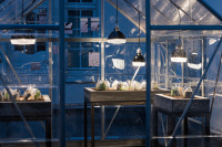 von den Driesch & Dyffort: Summender Gräsergarten, Installation, 2015-2021 von den Driesch & Dyffort: Summender Gräsergarten