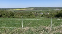 Inmitten von Feldern und Wiesen liegt der Wickersberger Hof in Ensheim