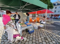 OB Conradt auf dem Wochenmarkt am Ludwigsplatz