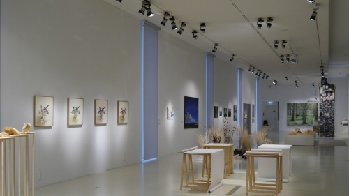 Prix d'art Robert Schuman 2015 PARS Kunstpreis 2015
