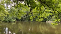 Aschbachweiher im Klarenthal