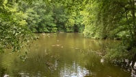 Aschbachweiher im Klarenthal