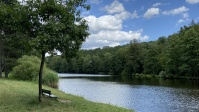 Burbacher Waldweiher