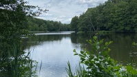 Burbacher Waldweiher