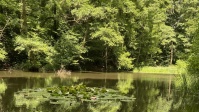 Weiher hinter dem Ludwigsparkstadion