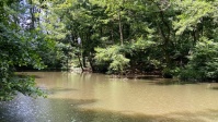 Weiher hinter dem Ludwigsparkstadion