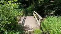 Weiher hinter dem Ludwigsparkstadion