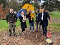 Baumpflanzung Neujahrsbaby: OB Conradt (r.), die Eltern Kai und Nina Sonnhalter mit Mathilda sowie Nick Jung (l.) und Thomas Herrmann vom DFG (2.v.r.) Baumpflanzung Neujahrsbaby: OB Conradt (r.), die Eltern Kai und Nina Sonnhalter mit Mathilda sowie Nick Jung (l.) und Thomas Herrmann vom DFG (2.v.r.)