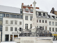 Der Stengelbrunnen am St. Johanner Markt  im Schnee