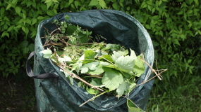 Blätter und Zweige in einem Abfallsack