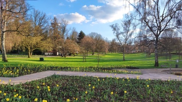 Osterglocken blühen im DFG Image