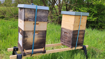 Zwei Bienenstöcke auf städtischer Kompostieranlage in Gersweiler Image