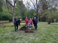 OB Conradt pflanzt am 27. April gemeinsam mit Vertreterinnen und Vertretern des Saarwaldvereins eine Mehlbeere (Baum des Jahres) zum Tag des Baumes im Deutsch-Französischen Garten. 