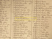 Im "renovierten" Tractus trägt das Grundstück die Nummer 292, Eigentümer ist Carl Lauckhard