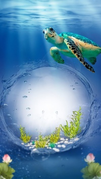 Eine Unterwasserschildkröte in der Tiefsee
