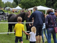 Kinderfest 2023 /Alslakeur Hof, Pferde und Menschen