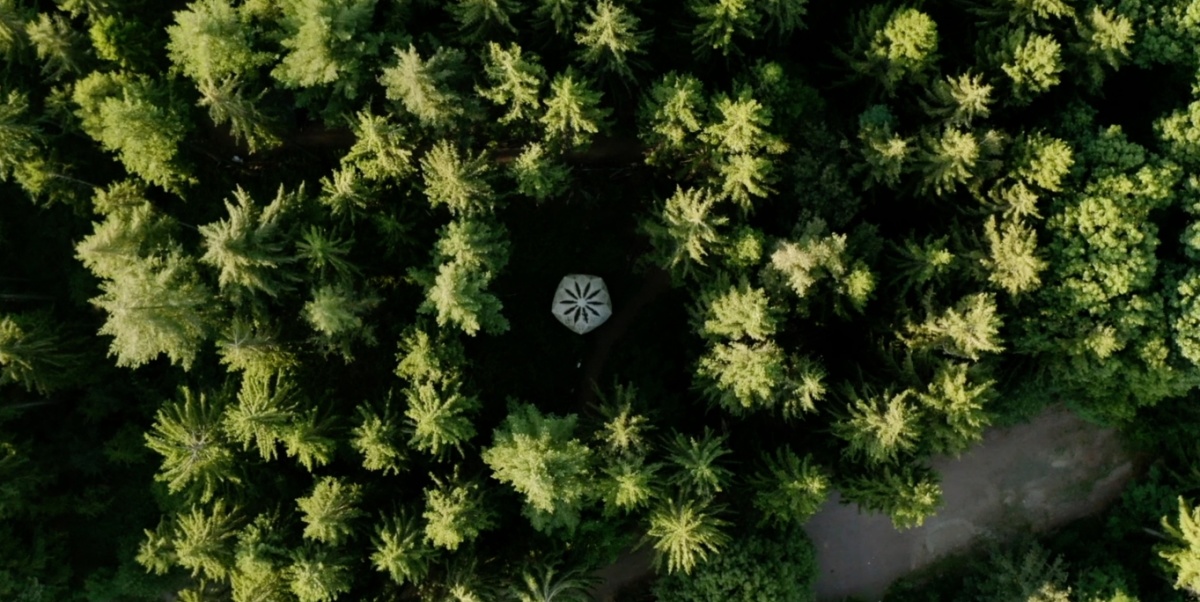 Urwald vor den Toren der Stadt