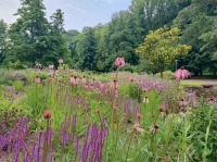 Tal der Blumen