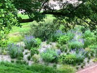 Tal der Blumen